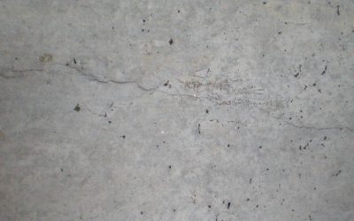 Pic-Dry Crack on Concrete (1)